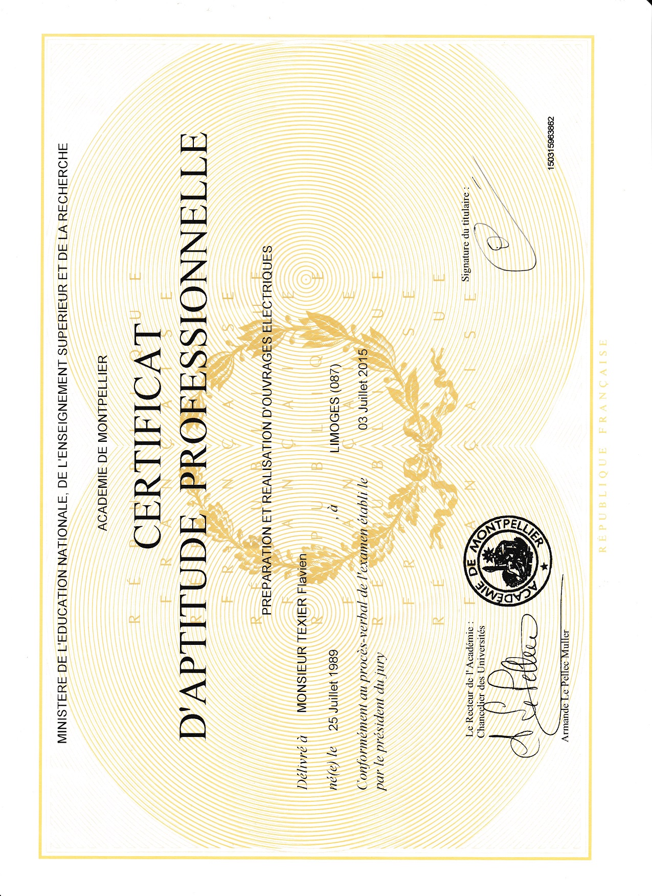 Certificat d'Aptitude Professionnelle Électricité – Flavien Texier – Académie de Montpellier 2015